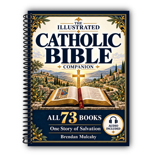 The Illustrated Catholic Bible Companion: A Book-by-Book Guide to All 73 Books — Understand Their Connections to Catholic Faith, the Mass, and God’s Plan of Salvation [Spiral-Bound]