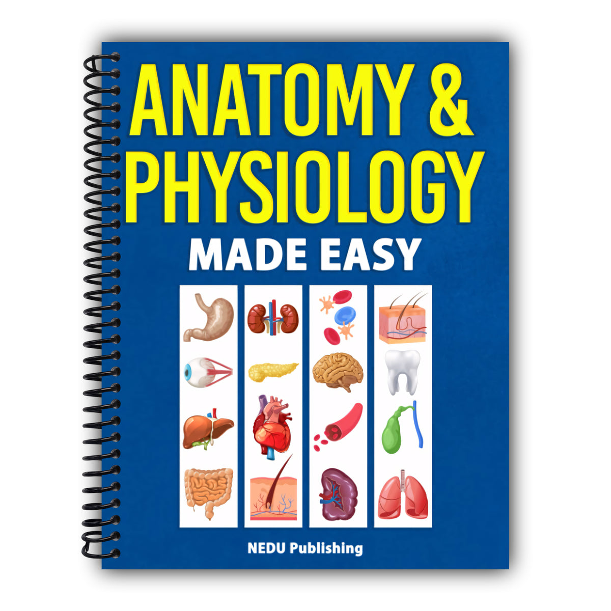 Anatomy & Physiology Made Easy: An Illustrated Study Guide for Students To Easily Learn Anatomy and Physiology [Spiral-Bound]