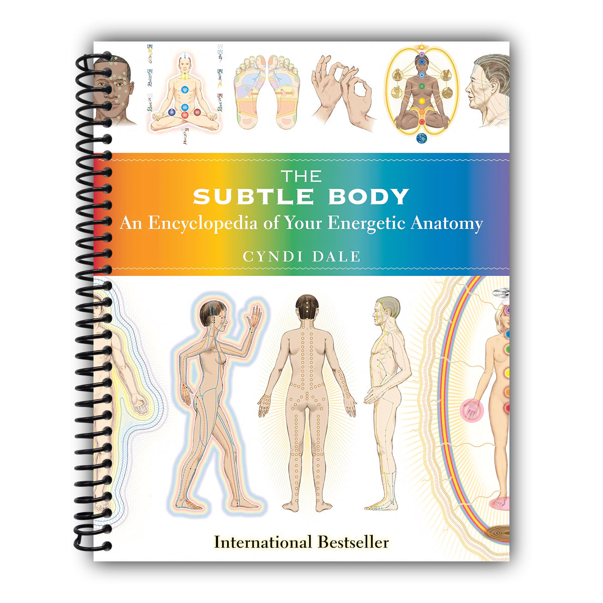 Subtle Body [Spiral-Bound]