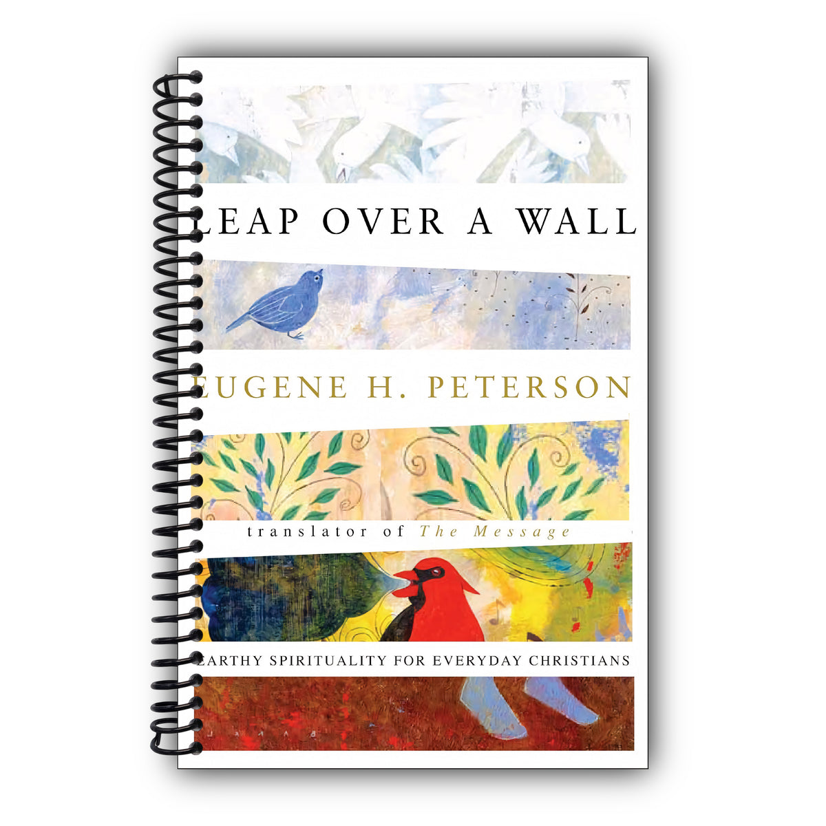 Leap Over a Wall : Earthy Spirituality for Everyday Christians [Spiral-Bound]