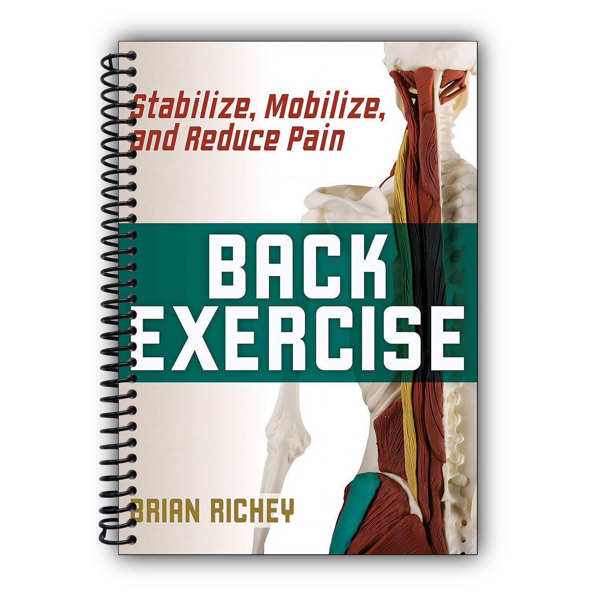 Back Exercise: Stabilize, Mobilize, and Reduce Pain [Spiral-Bound]