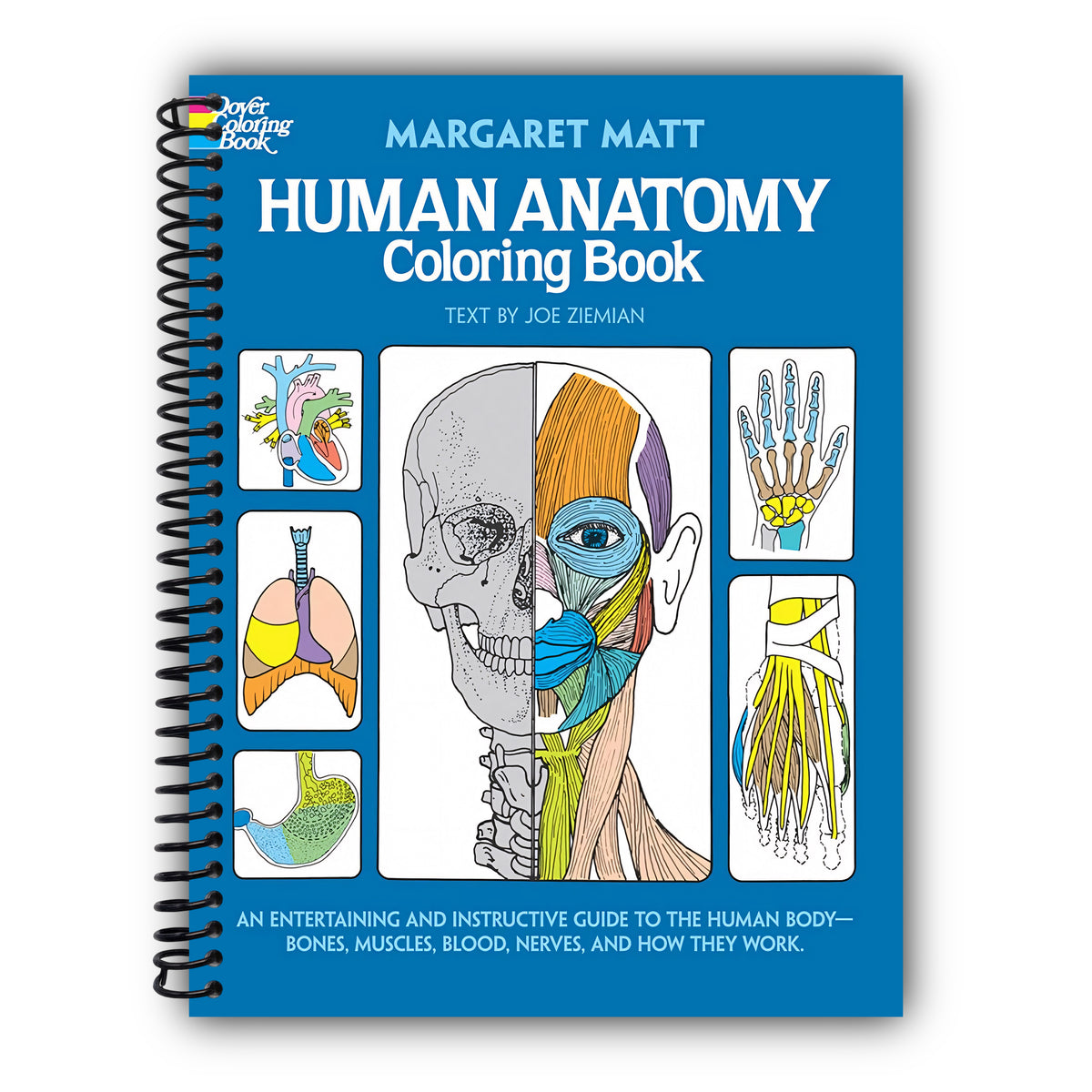 Human Anatomy Coloring Book: an Entertaining and Instructive Guide to the Human Body - Bones, Muscles, Blood, Nerves and How They Work (Coloring Books) [Spiral-Bound]